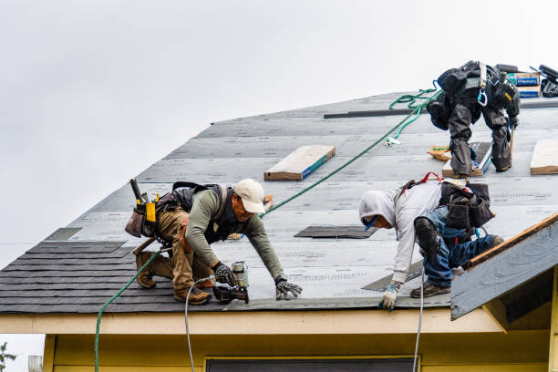 Professional Roofing technician working in Highlands, TX